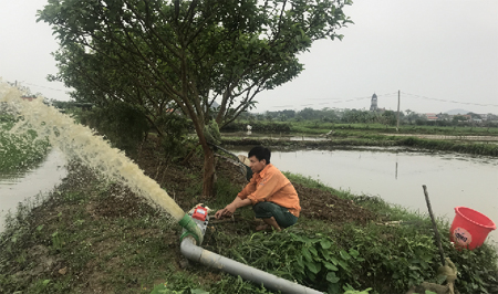 Yên Thắng tập trung phát triển nông nghiệp, nâng cao thu nhập cho người dân