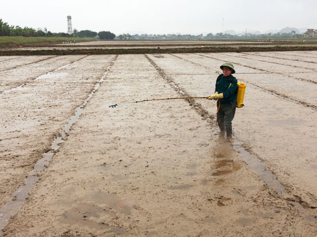 Yên Mô tập trung ra quân sản xuất vụ Đông Xuân năm 2020