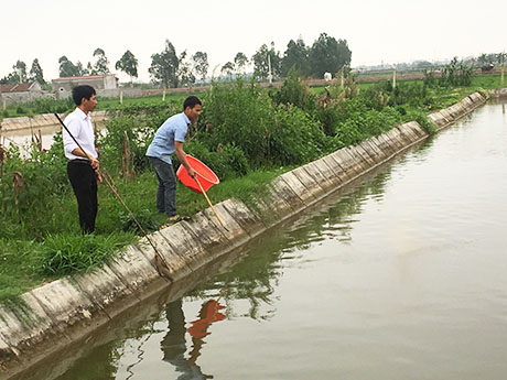 Đảng bộ xã Yên Hòa lãnh đạo phát triển kinh tế