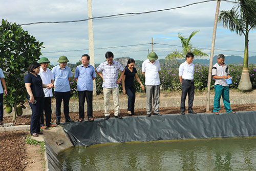 Đoàn của UBND tỉnh thẩm định công tác xây dựng nông thôn mới, nông thôn mới kiểu mẫu đối với xã Yên Hưng và xã Yên Hòa