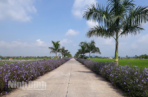 Huyện Yên Mô được công nhận đạt chuẩn nông thôn mới