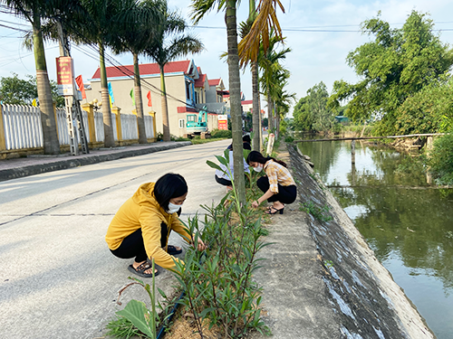 Yên Mô đẩy mạnh phong trào trồng cây xanh