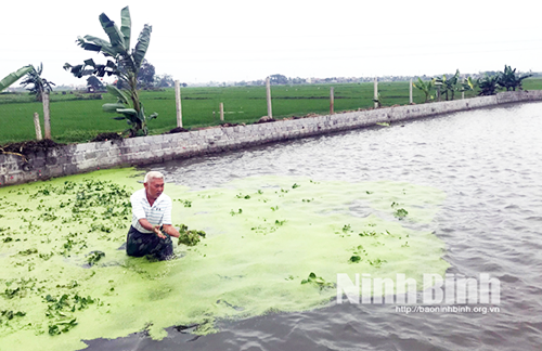 Yên Mô tập trung phát triển thủy sản theo hướng bền vững