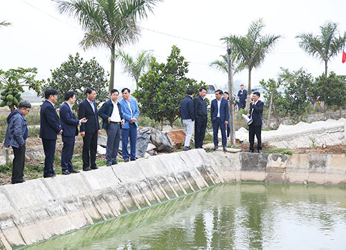 Đoàn công tác Văn phòng Điều phối nông thôn mới Trung ương thẩm định, khảo sát thực tế đề nghị công nhận huyện nông thôn mới