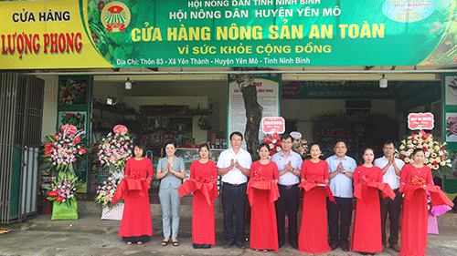 Khai trương cửa hàng Nông sản an toàn Lượng Phong, tại xã Yên Thành