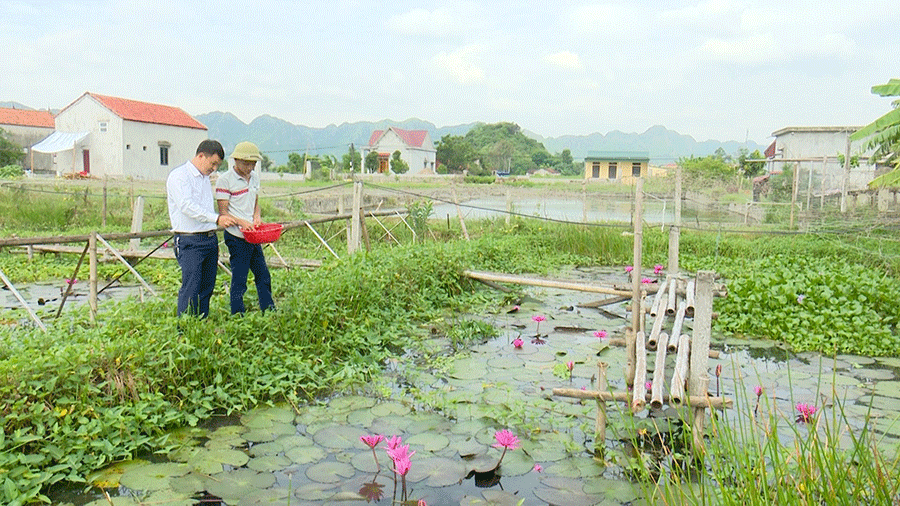 Hội nông dân Yên Đồng giúp hội viên phát triển kinh tế, nâng cao thu nhập cho hội viên