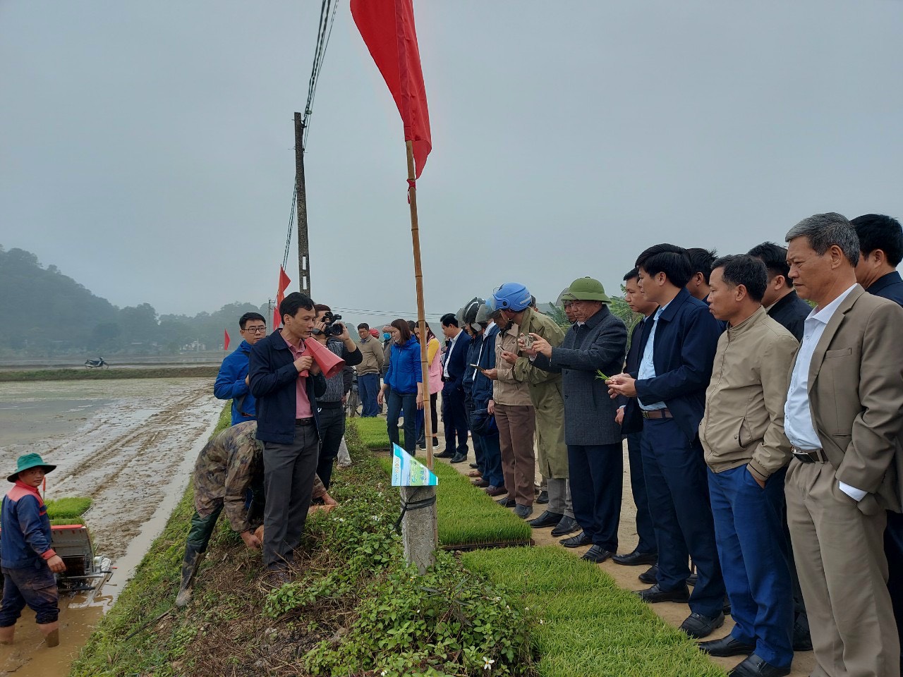 Yên Mô hoàn thành gieo trồng, chuyển trọng tâm sang chăm sóc và bảo vệ các cây trồng vụ Đông Xuân năm 2023